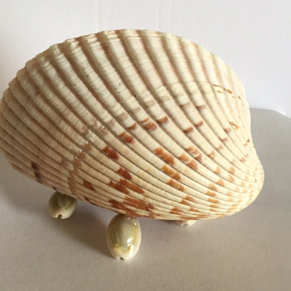 NWOB Seashell Native set - Picture 4 of 9